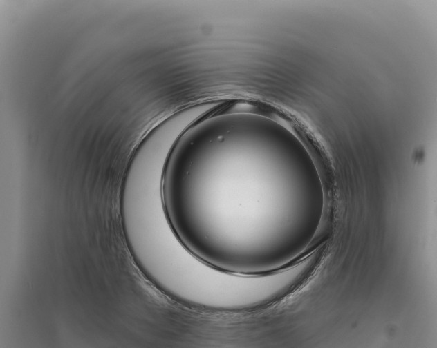 X0000094350889200711091450