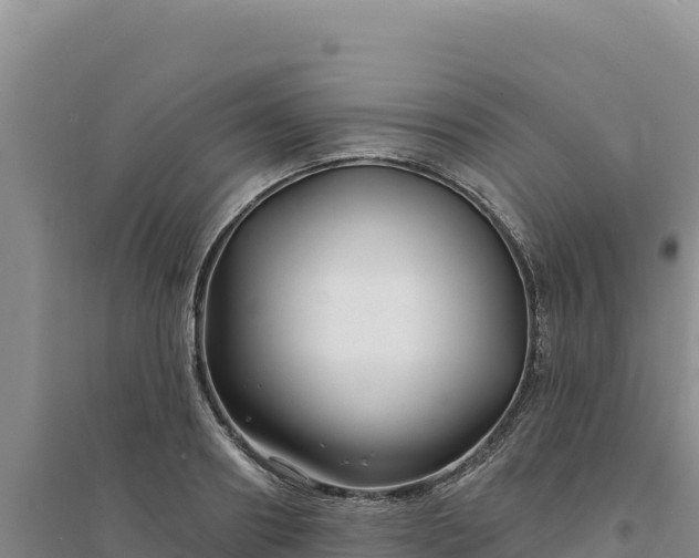 X0000094350890200711091450