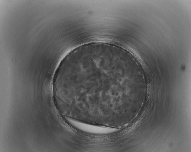 X0000094350891200711091450