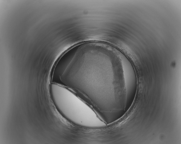 X0000094350892200711091450