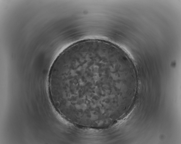 X0000094350895200711091450