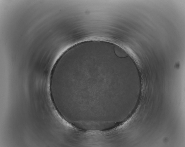 X0000094350896200711091450