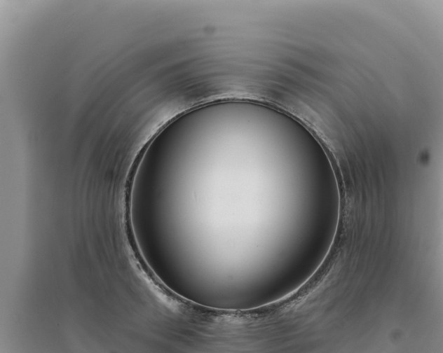 X0000094350898200711091450