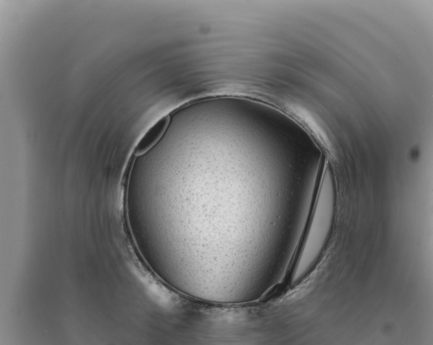 X0000094350900200711091450