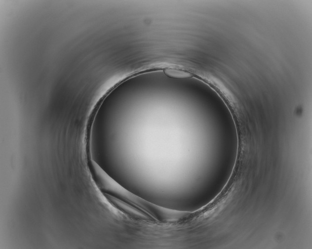 X0000094350902200711091450