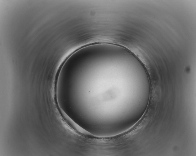 X0000094350904200711091450