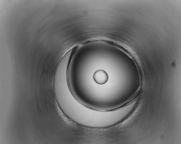 X0000094350905200711091449