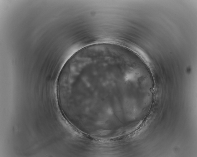 X0000094350907200711091449