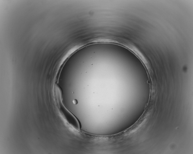 X0000094350909200711091449