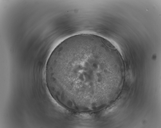 X0000094350911200711091449