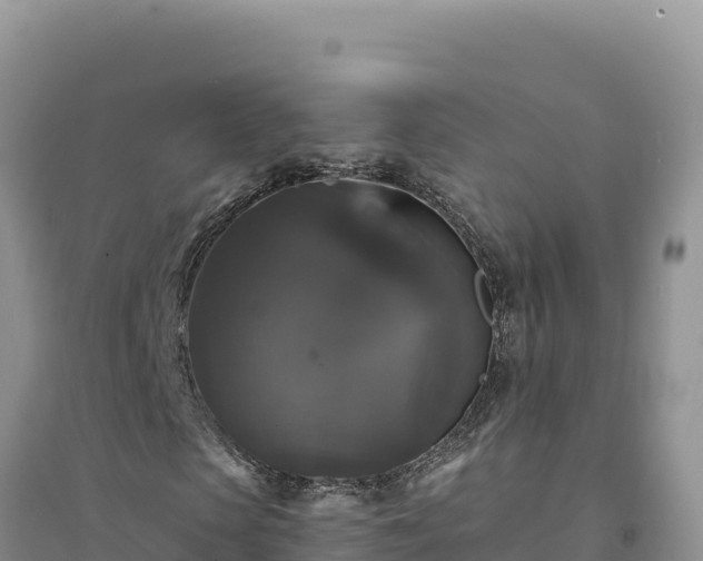 X0000094350913200711091448