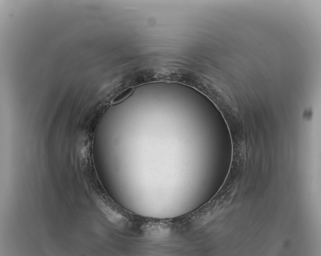 X0000094350914200711091448