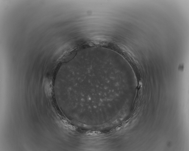 X0000094350915200711091448