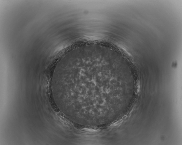 X0000094350917200711091449