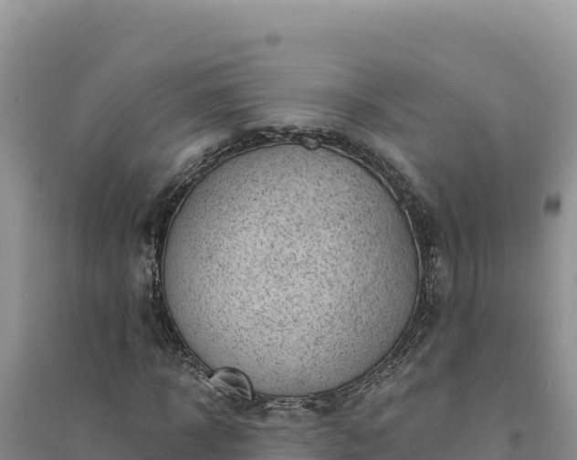 X0000094350918200711091449