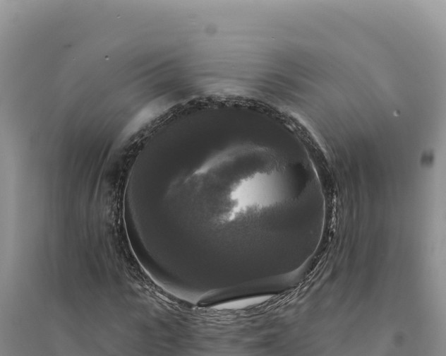 X0000094350919200711091449