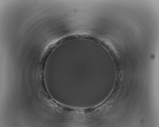 X0000094350920200711091449