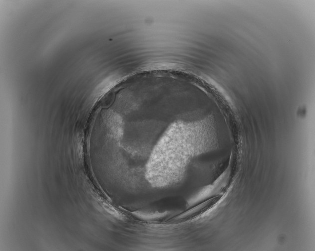 X0000094350921200711091449