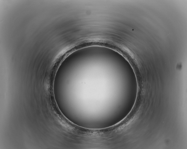 X0000094350922200711091449