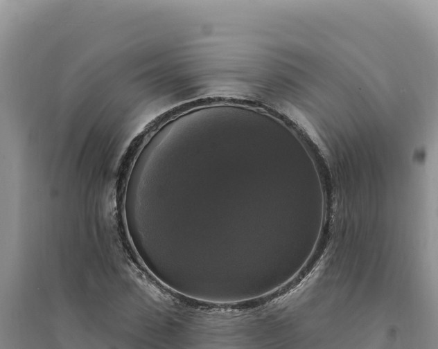 X0000094350923200711091449