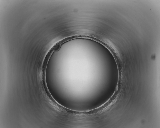 X0000094350924200711091449