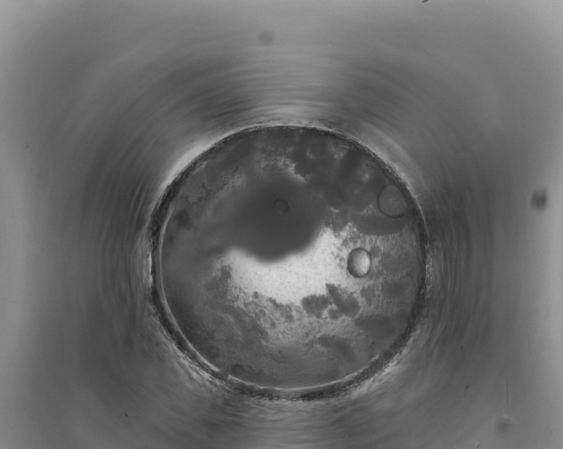 X0000094350925200711091449