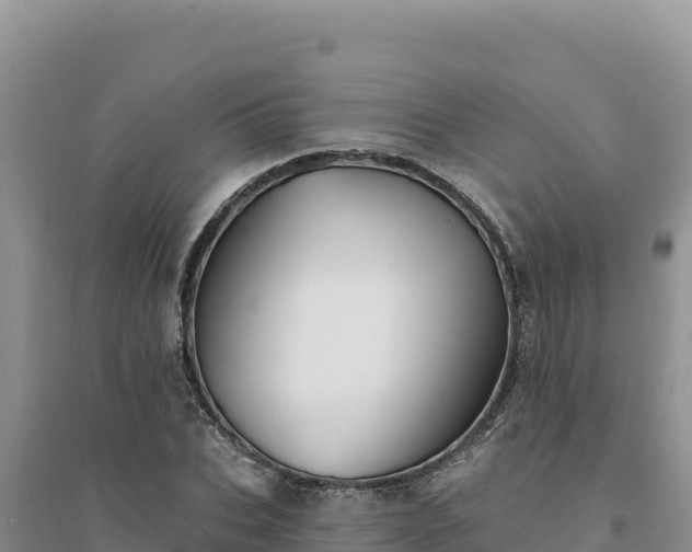 X0000094350927200711091449