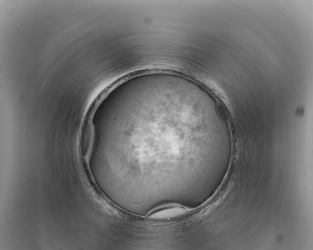 X0000094350928200711091449