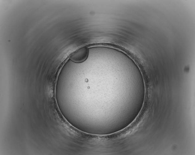 X0000094350929200711091449