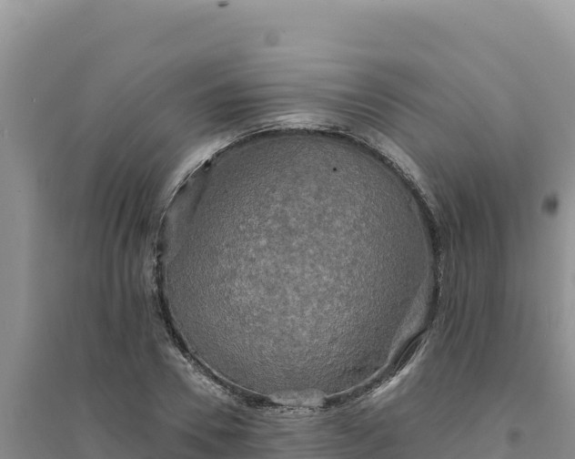 X0000094350930200711091449