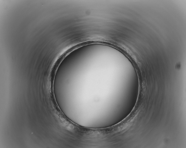 X0000094350931200711091449