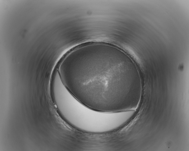 X0000094350932200711091449