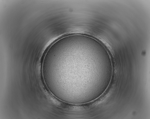 X0000094350933200711091449