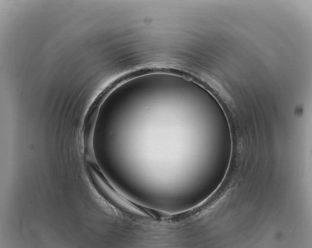 X0000094350934200711091449