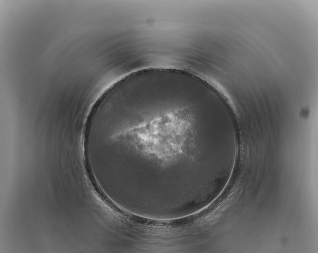 X0000094350935200711091449