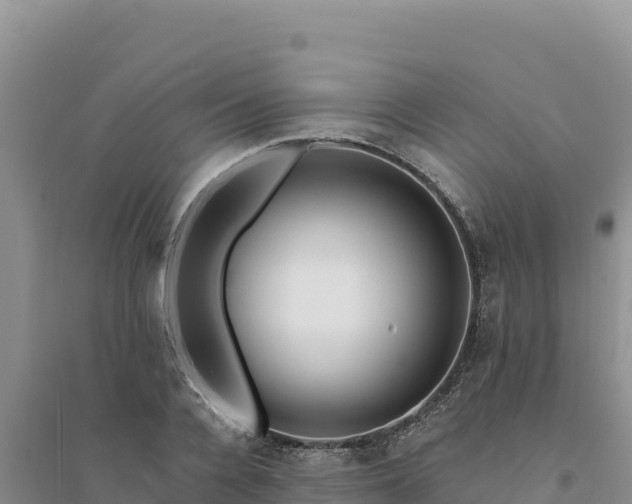 X0000094350936200711091449