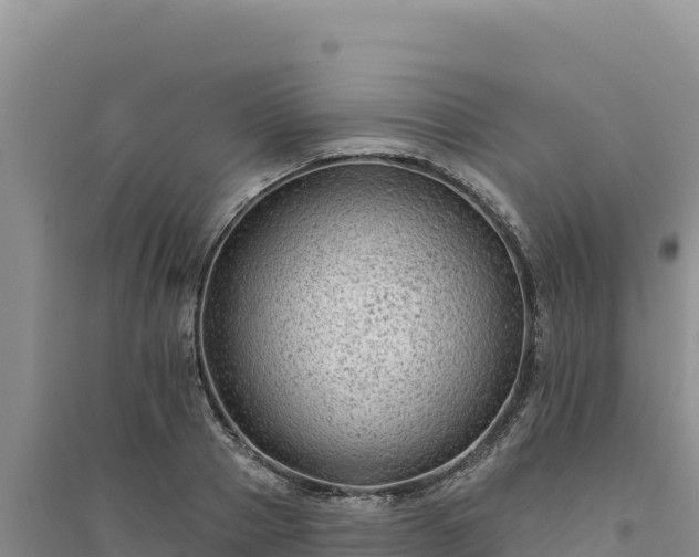 X0000094350937200711091449