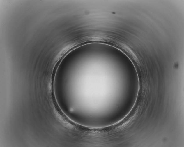 X0000094350938200711091449