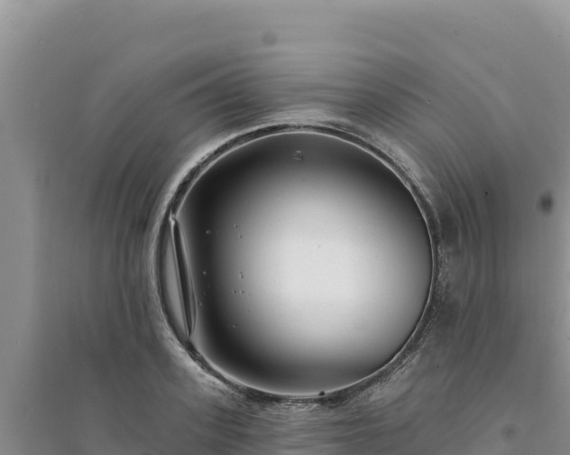 X0000094350939200711091449