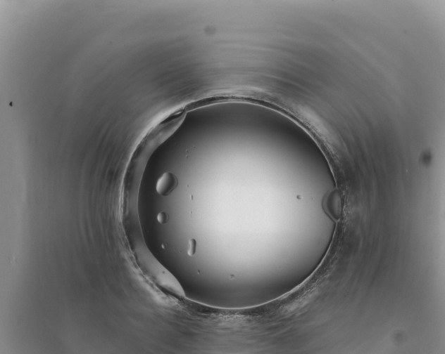 X0000094350940200711091449