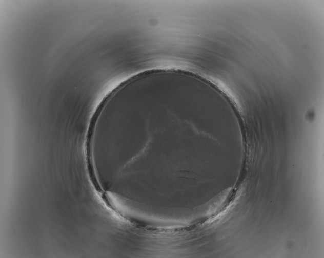 X0000094350943200711091449