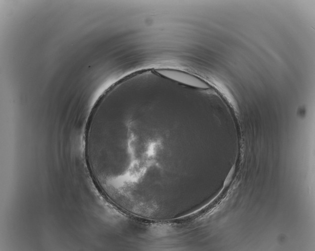 X0000094350944200711091449