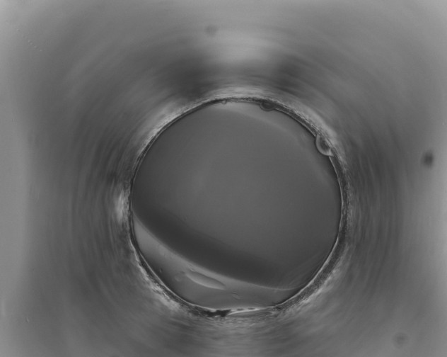 X0000094350945200711091449