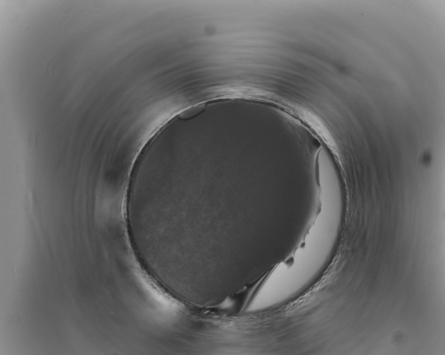 X0000094350946200711091449