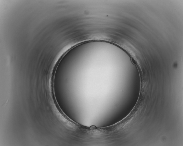 X0000094350947200711091449