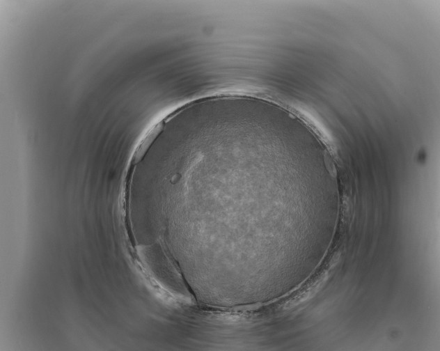 X0000094350948200711091449