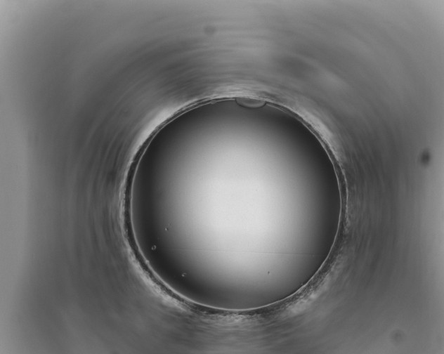 X0000094350949200711091449