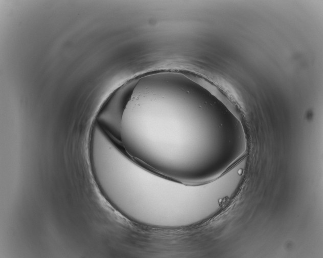 X0000094350950200711091449