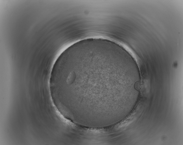 X0000094350951200711091449