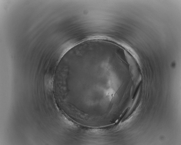 X0000094350953200711091449